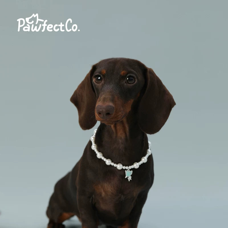 Dog Faux Pearl Necklace Pet Collar